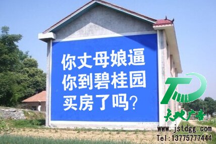 墻體廣告,碧桂園,天地廣告制作